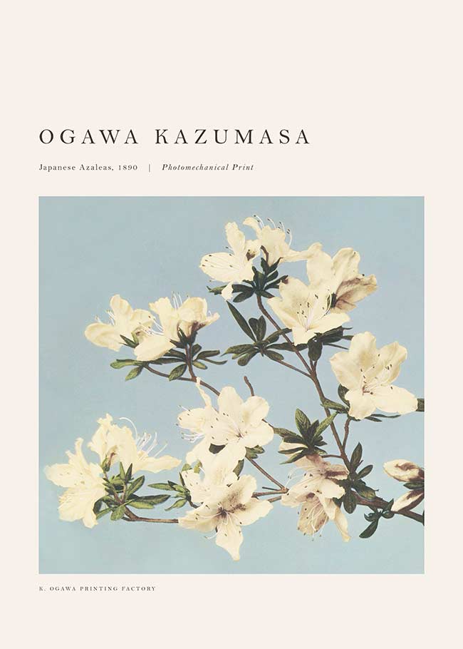 Japense Azaleas Ogawa Kazumasa Flowers Print