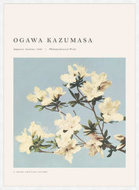 Japense Azaleas Ogawa Kazumasa Flowers Print