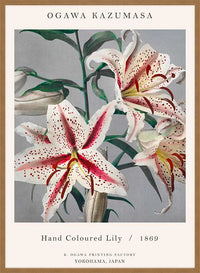 Japanese Flowers Ogawa Kazumasa Flowers Print