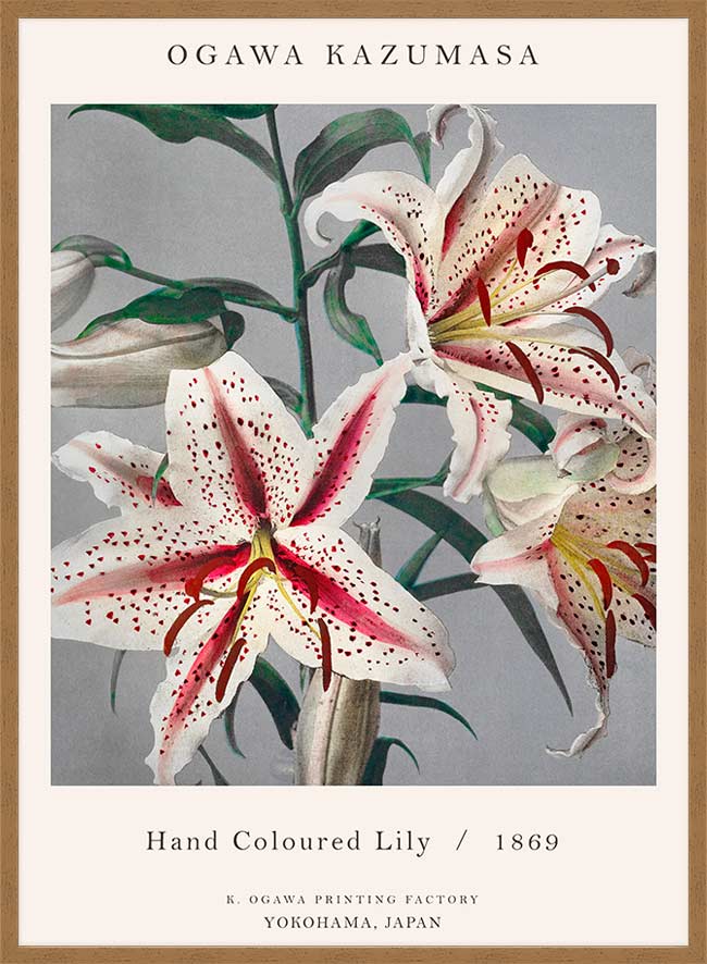 Japanese Flowers Ogawa Kazumasa Flowers Print