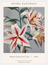Japanese Flowers Ogawa Kazumasa Flowers Print