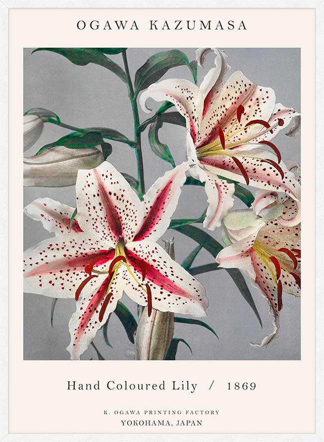 Japanese Flowers Ogawa Kazumasa Flowers Print