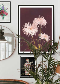 Chrysanthemum Ogawa Kazumasa Flowers Print