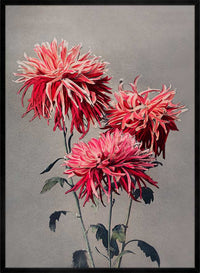 Asa-dsuma-bune Ogawa Kazumasa Flowers Print