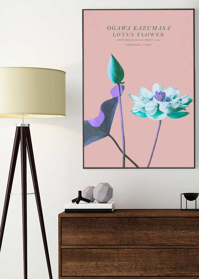 Lotus Flower Inverted Ogawa Kazumasa Flowers Print