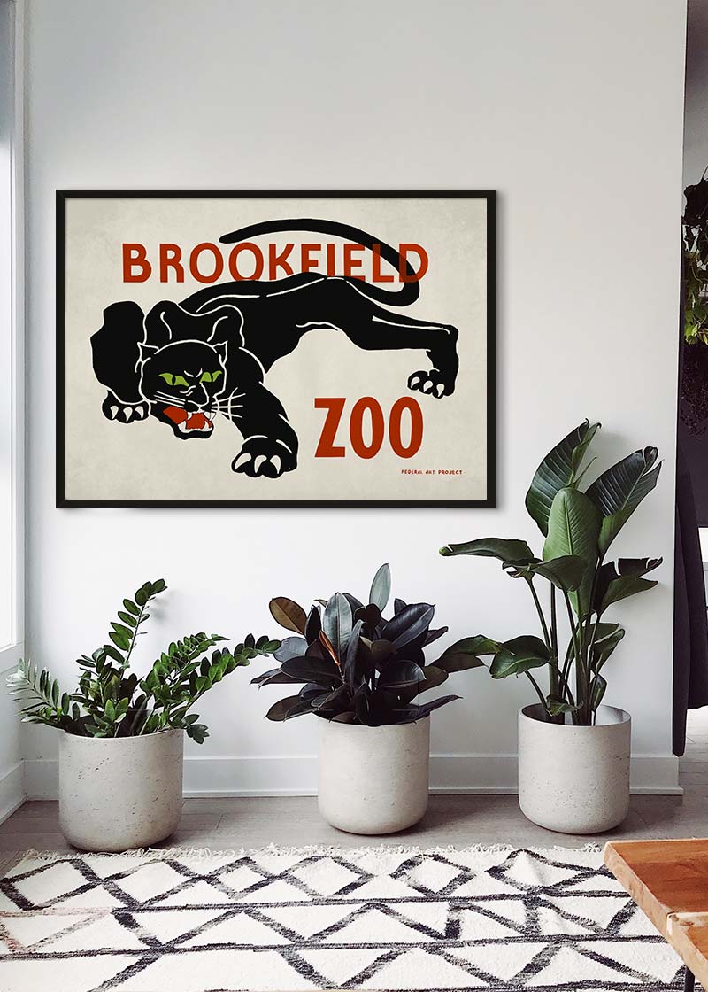 Black Panther Brookfield Zoo Poster