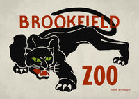 Black Panther Brookfield Zoo Poster