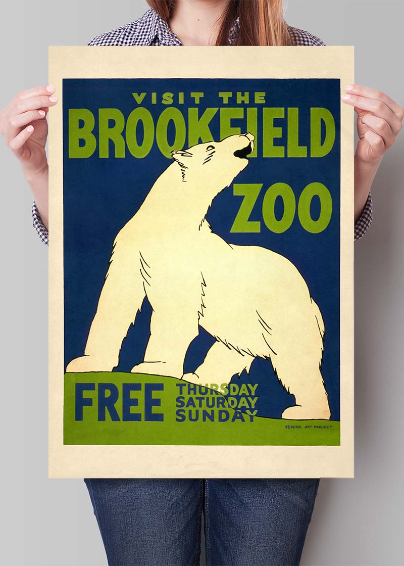 Brookfield Zoo Illinois Polar Bear Poster