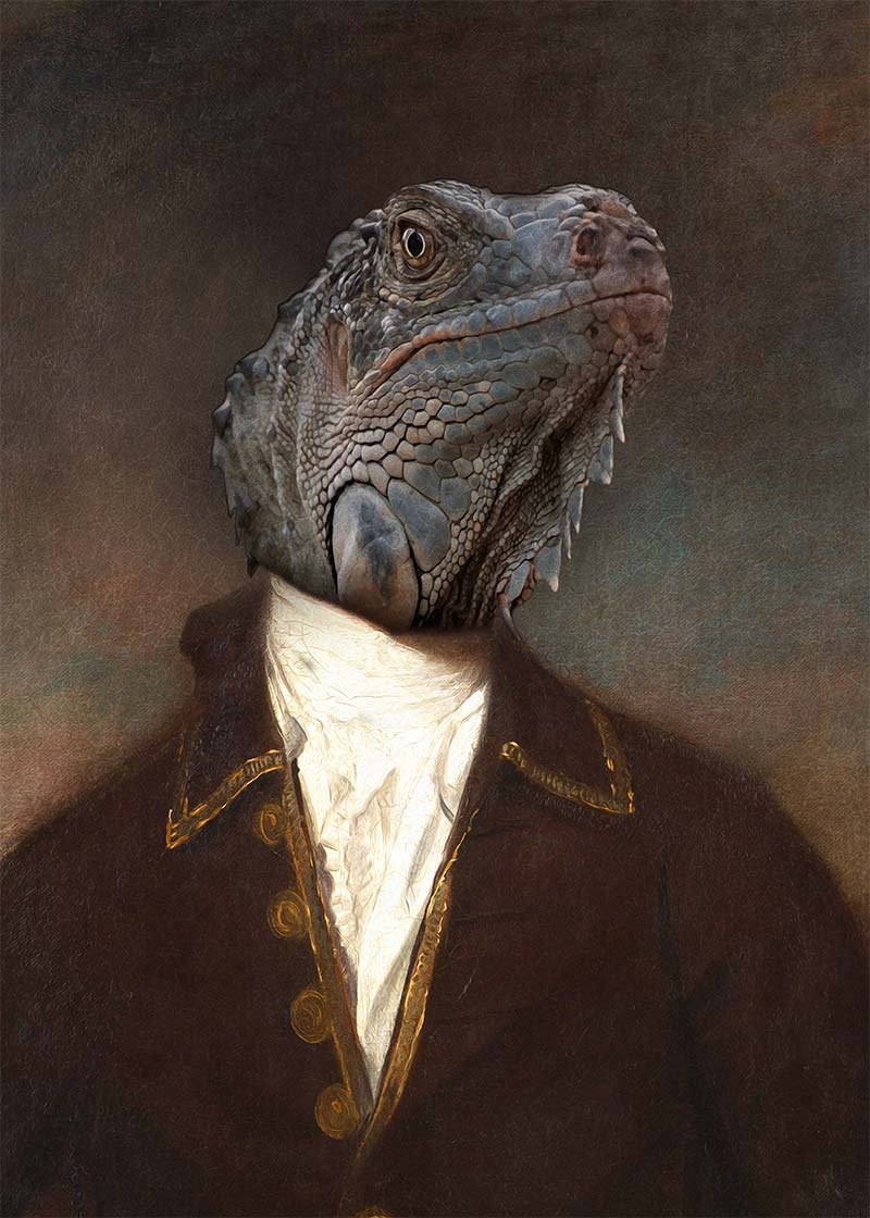 Iguana Portrait Print