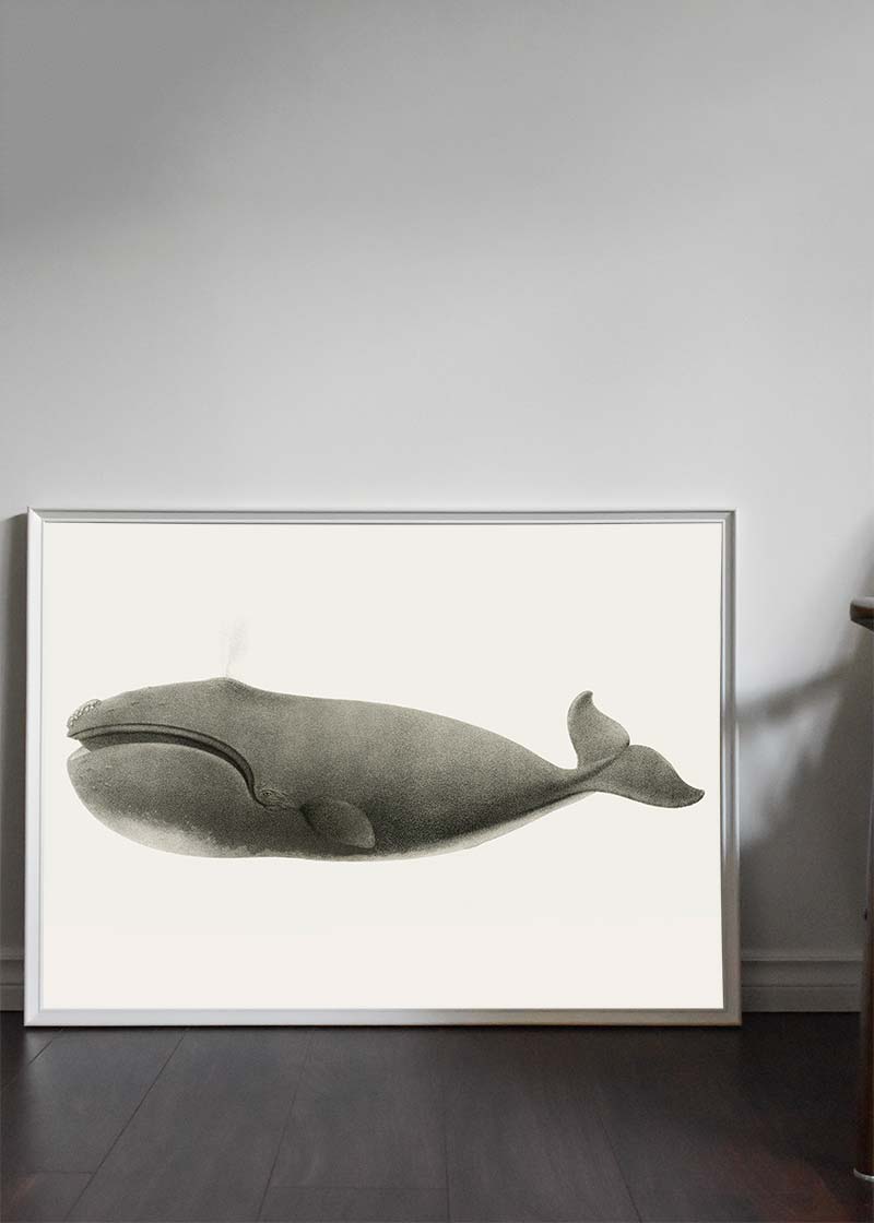 Vintage Pacific Whale Landscape Print