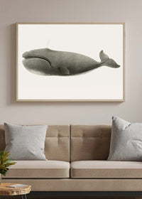 Vintage Pacific Whale Landscape Print