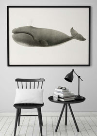 Vintage Pacific Whale Landscape Print