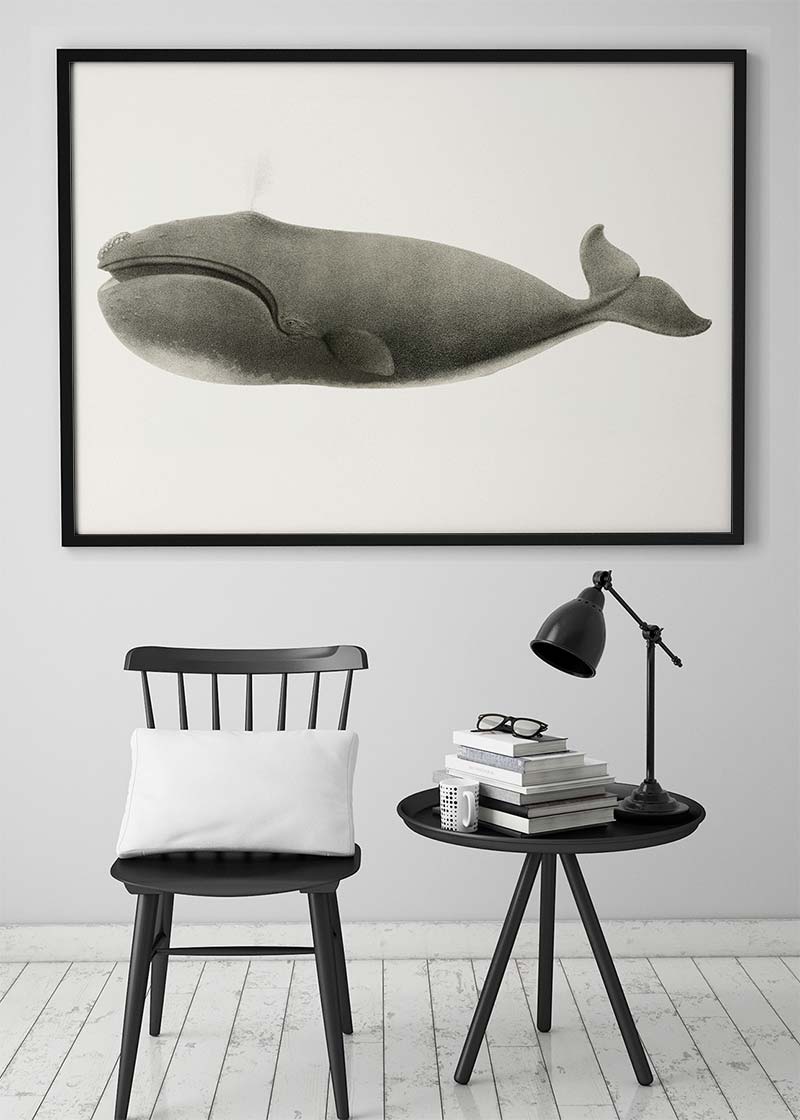 Vintage Pacific Whale Landscape Print