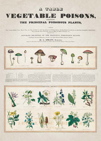 Table of vegetable poisons vintage chart