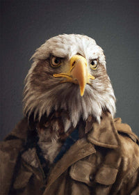 American Eagle Animal Portrait Print