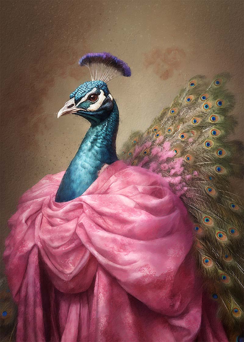 Peacock Animal Portrait Print