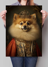Pomeranian Animal Portrait Print
