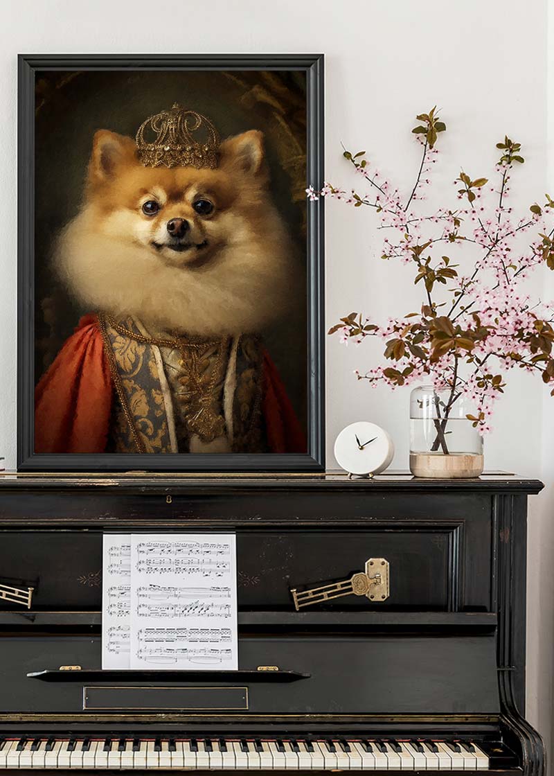Pomeranian Animal Portrait Print