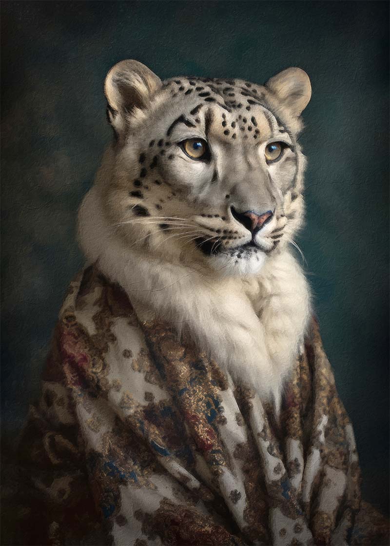 Snow Leopard 1 Animal Portrait Print