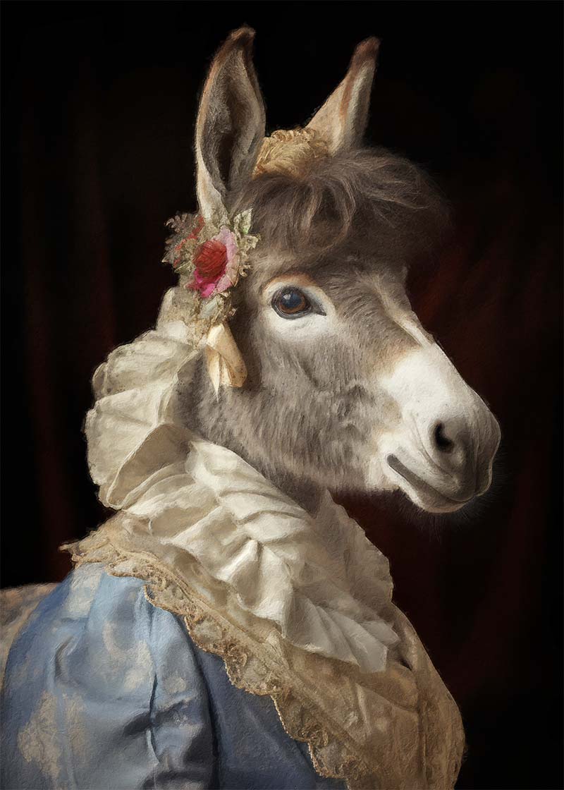 Donkey Animal Portrait Print