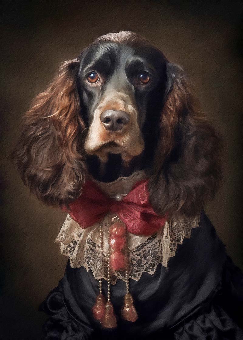 Brown Cocker Spaniel Portrait Print