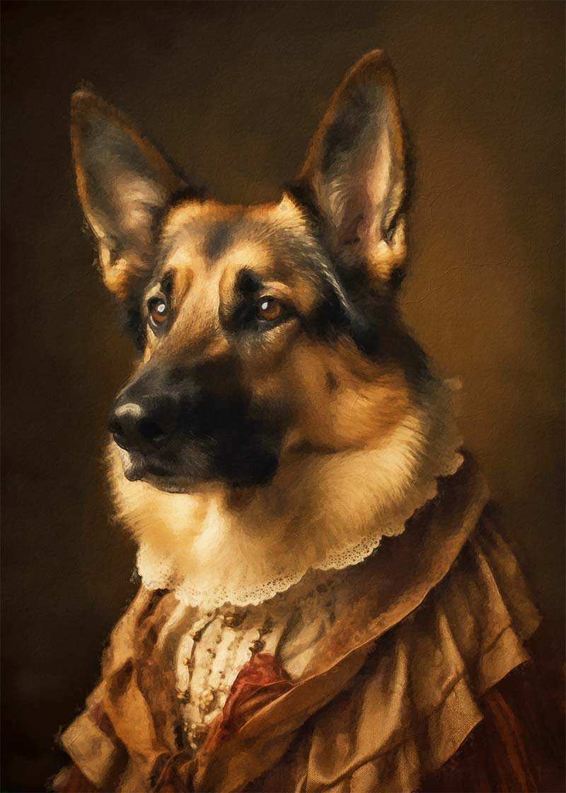 German Shepherd Alsatian Dog Portrait Print