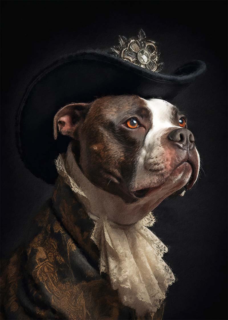 Staffordshire Bull Terrier Staffy With Hat Dog Portrait Print