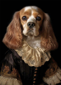 Tan & White Cocker Spaniel Dog Portrait Print