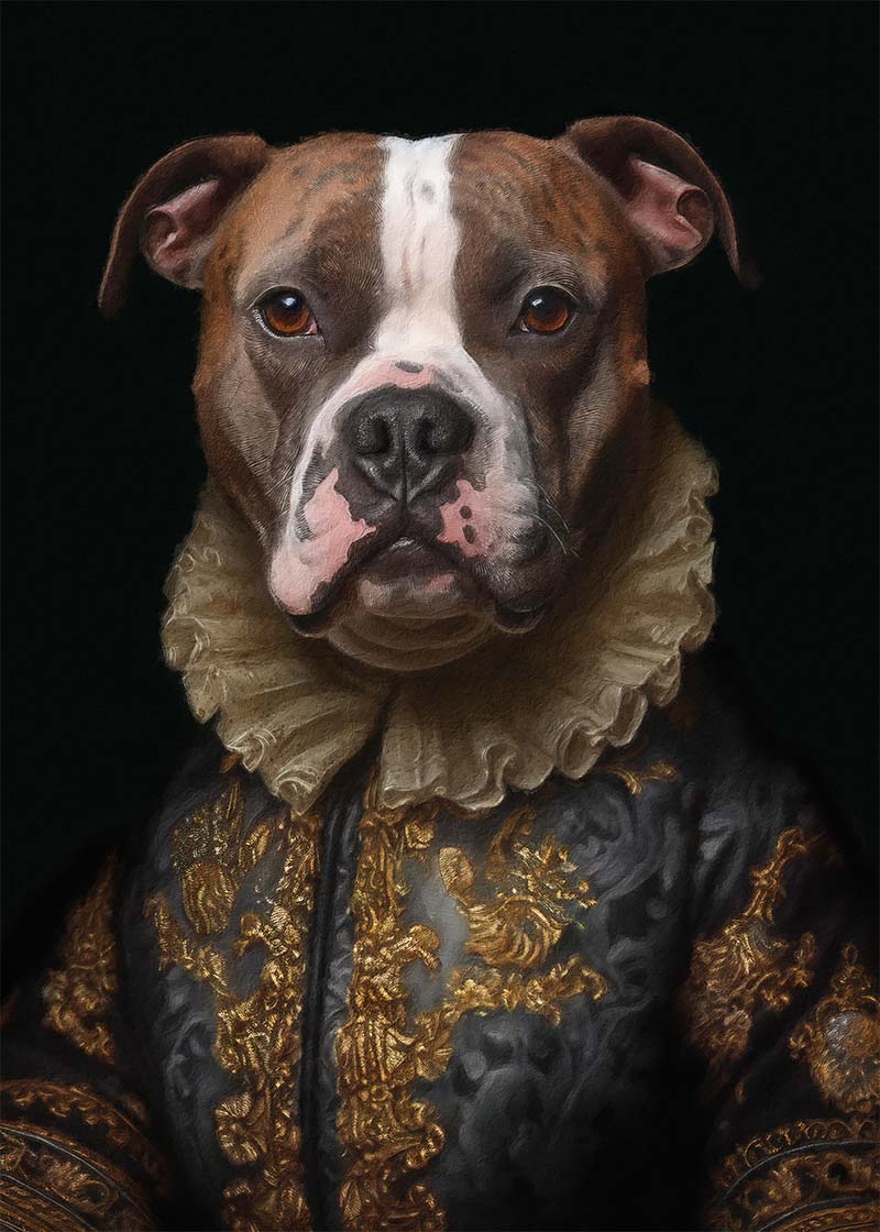 Staffordshire Bull Terrrier Staffy Dog Portrait Print