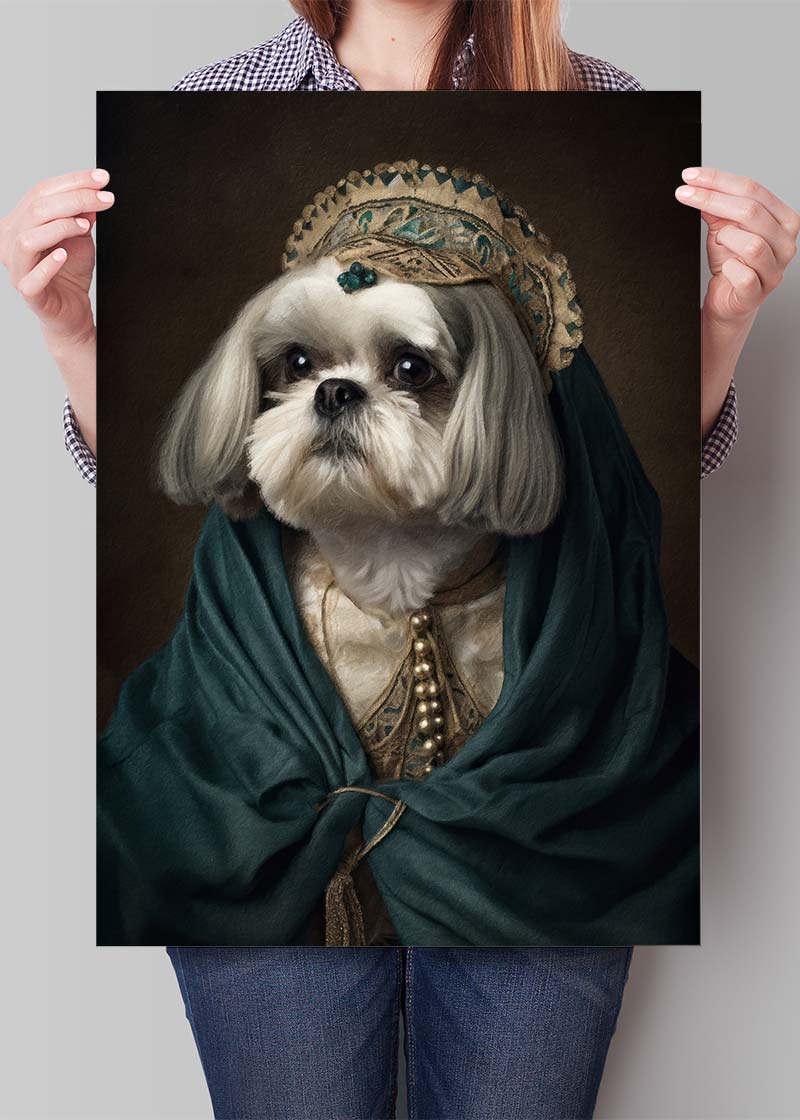 Shih Tzu Dog Portrait Print