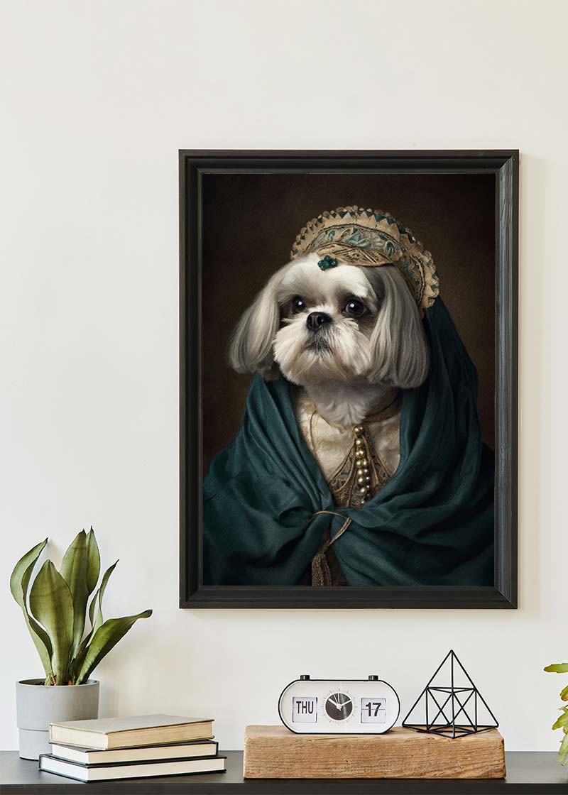 Shih Tzu Dog Portrait Print