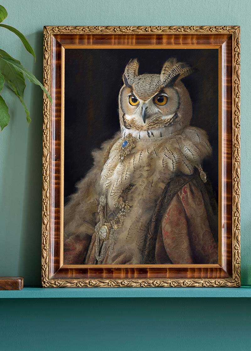 Owl Lady Animal Bird Portrait Print