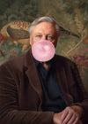 David Attenborough Blowing Bubblegum Portrait Print