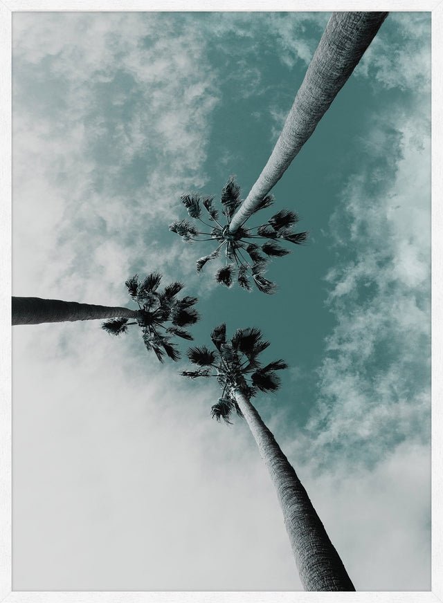 3 Palm Trees Perspective Print