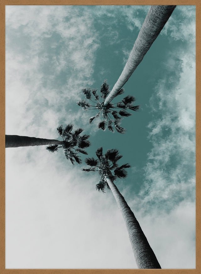 3 Palm Trees Perspective Print