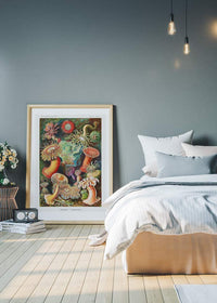 Actinia Sea Anemones Vintage Print