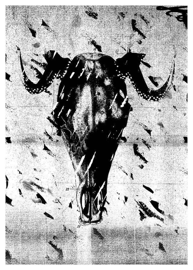 Antlers Print