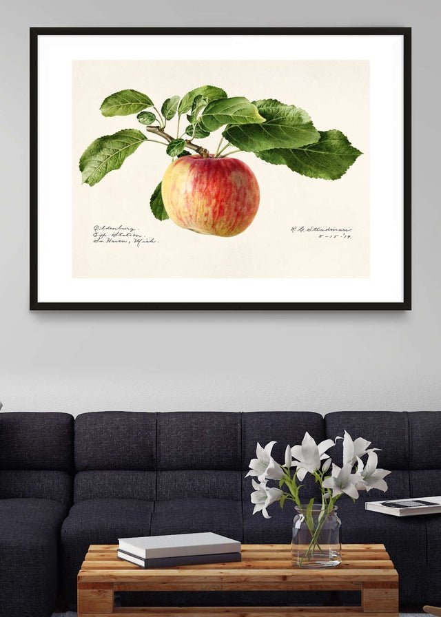 Apple Landscape Vintage Antique Print
