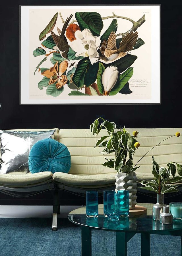 Black Billed Cuckoo Vintage Bird Print