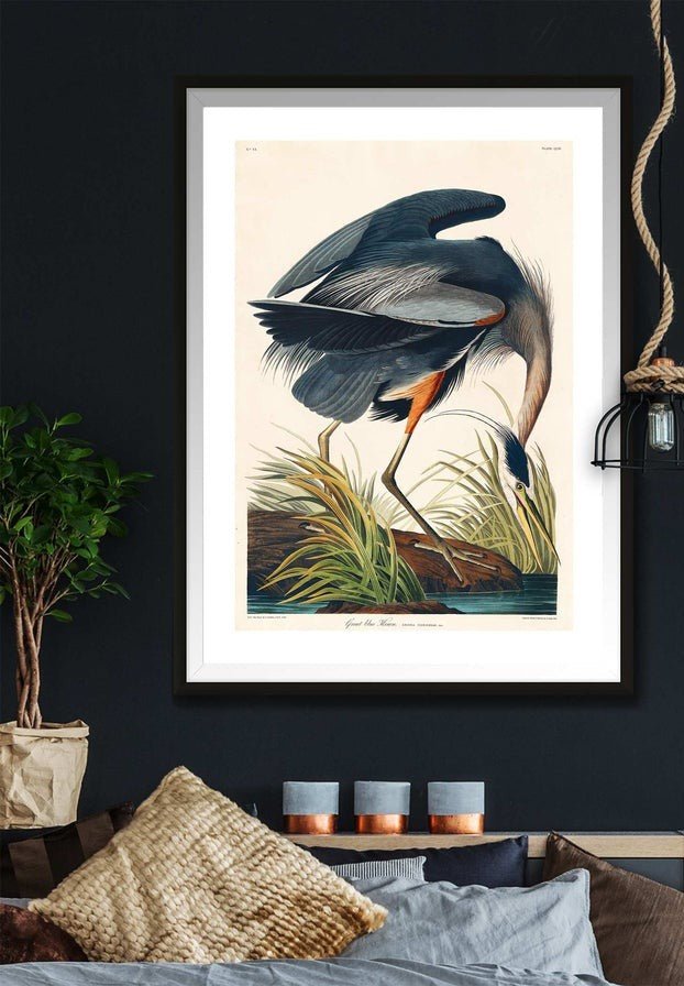 Blue Heron Vintage Antique Bird Print