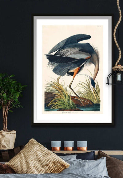 Blue Heron Vintage Antique Bird Print