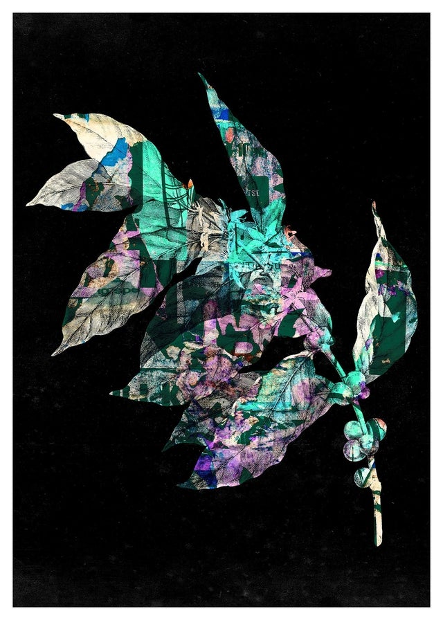 Botanical 4 Black Print