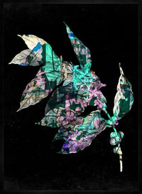 Botanical 4 Black Print
