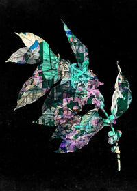 Botanical 4 Black Print
