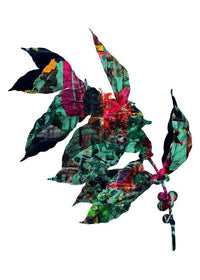 Botanical 4 White Print