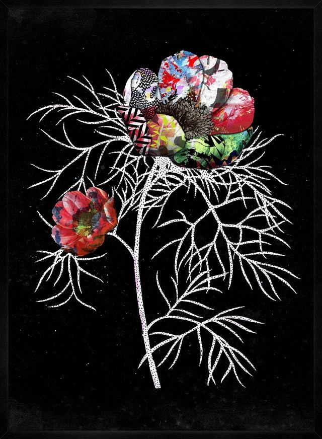 Botanical 6 Black Rose Print