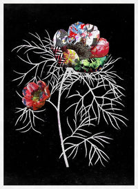Botanical 6 Black Rose Print