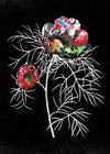 Botanical 6 Black Rose Print