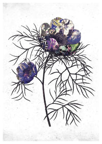 Botanical 6 White Rose Print