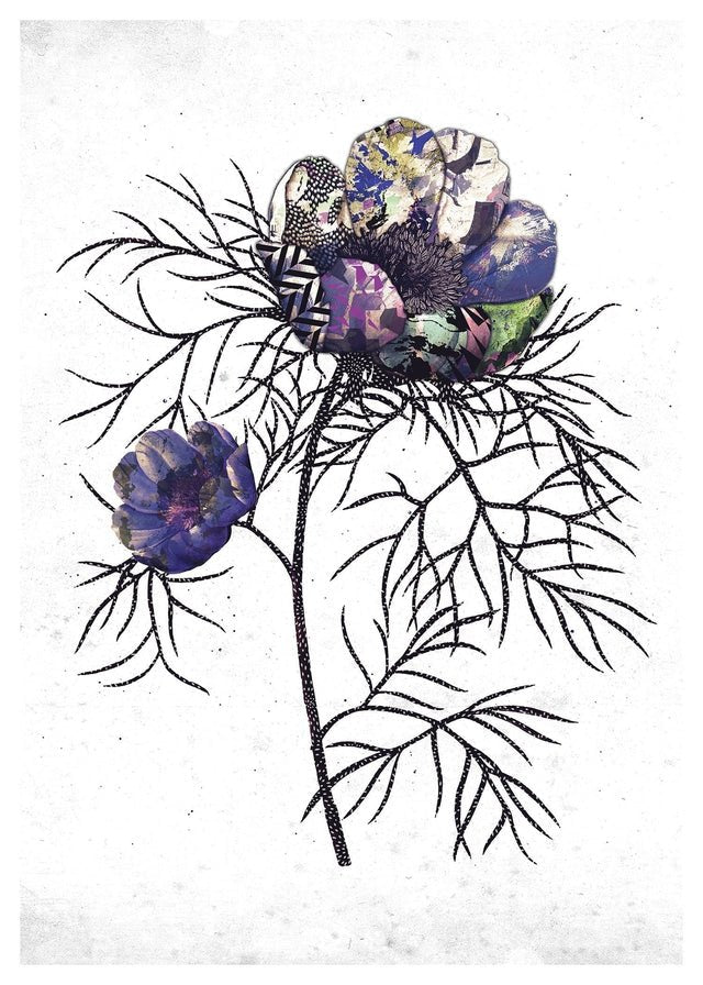 Botanical 6 White Rose Print